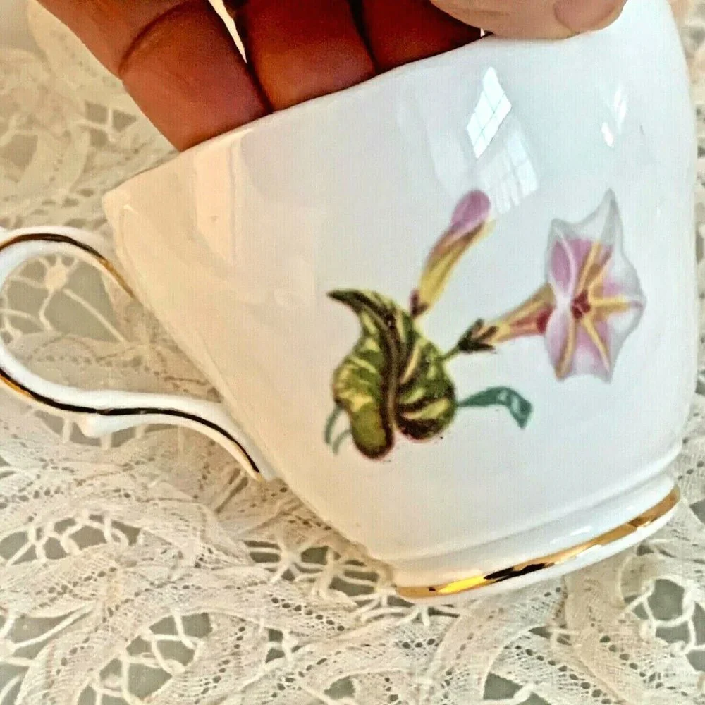 Bone China Tea Cup Saucer Morning Glory Pink Floral Regency England